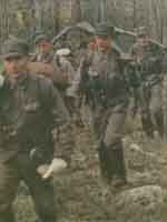 Война в восточной Карелии. Финский патруль в лесу. Ноябрь 1943 г.