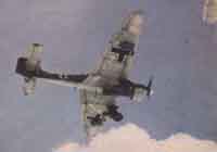Пикирующий бомбардировщик Ju-87 "Stuka" мог нести до 1000 кг бомбовой нагрузки. Восточный фронт.
