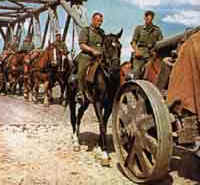 Конные упряжки - основа германской артиллерийской тяги. Батарея легких полевых гаубиц на пути к фронту.